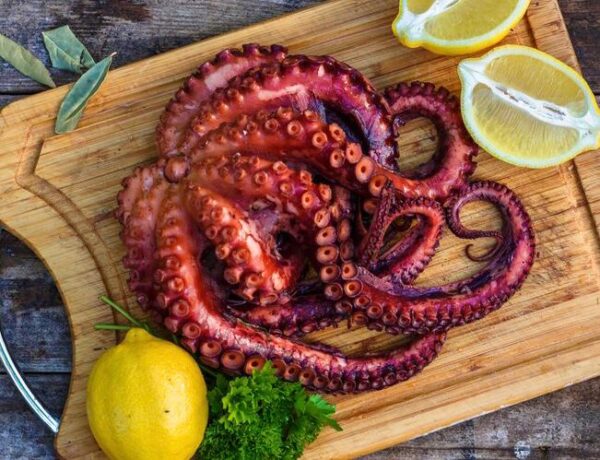 Pulpo del Norte